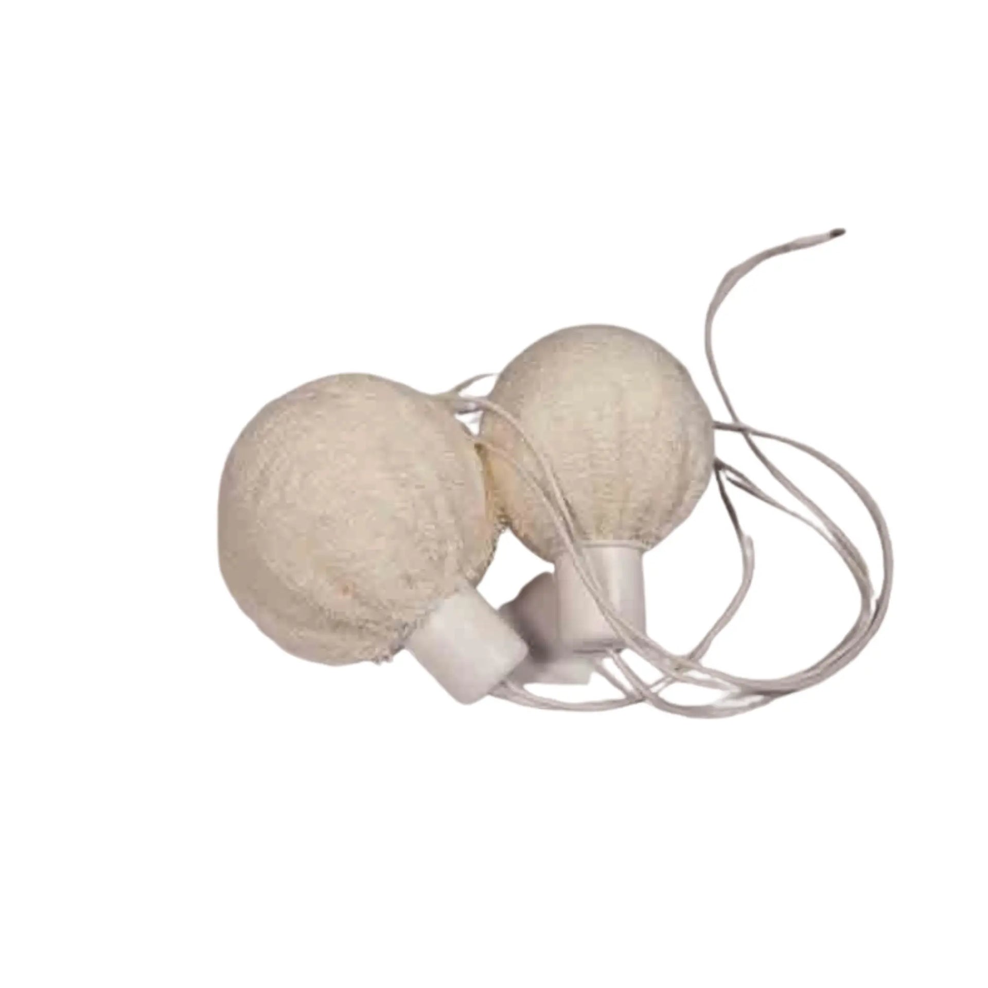 Axilla Electrodes Kit συμβατό με συσκευές ιοντοφόρησης I2m.A - I2M Laboratoires I2M Laboratoires 