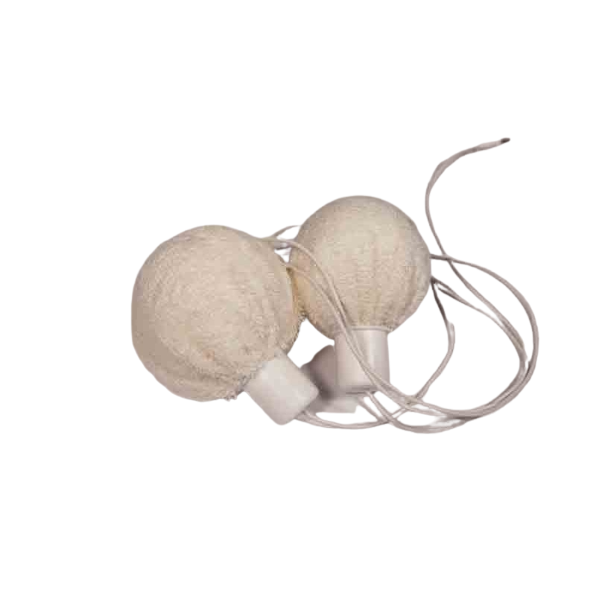 Kit AXILLA - Laboratorios I2M