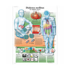 Anatomisch bord - Diabetes - Anatomie en pathologie