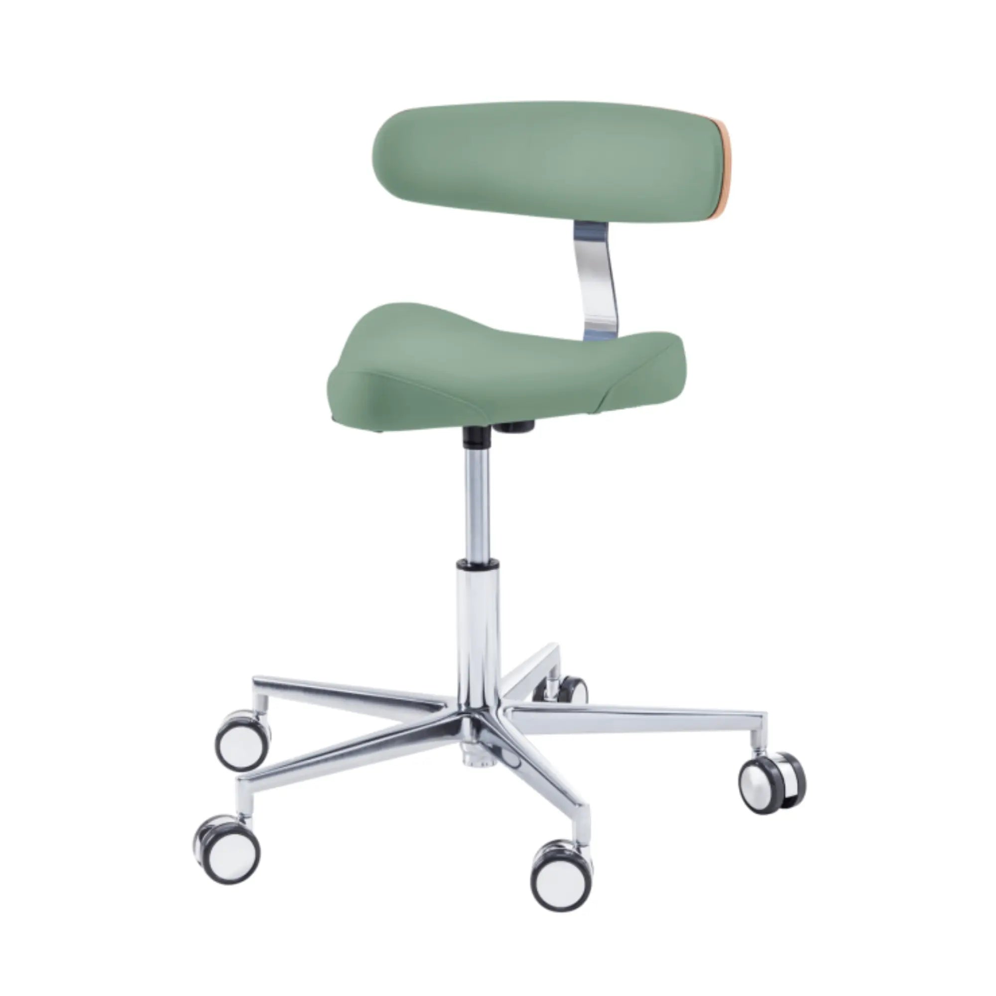 Siège praticien - TRIANGLE - Ruck - Ressort à Gaz Long Ruck  Sauge-Dossier-Radius-CPL-Noyer